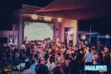 Pool Party - Upscale Uptown