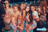 Pool Party - Upscale Uptown
